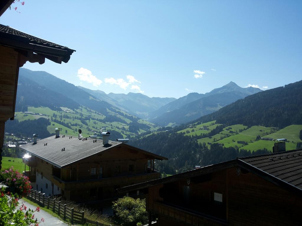 Апартаменти Alpbach 646 Номер фото