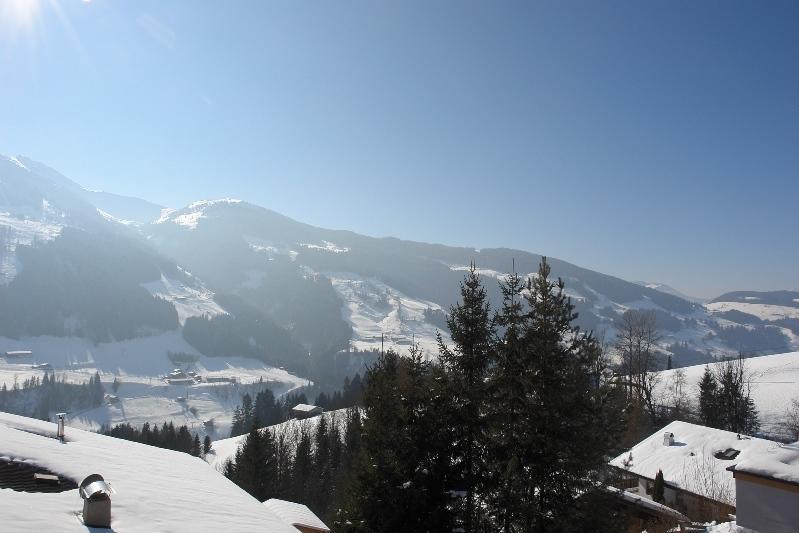 Апартаменти Alpbach 646 Номер фото
